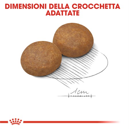 Royal Canin Maxi Adult 5 + Kg 4 Secco Cane in Cani