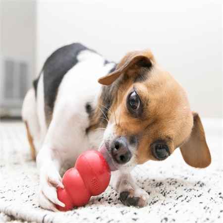 Kong Classic Small 7,5 cm 114 gr Per Cani fino a 9 kg in Cani