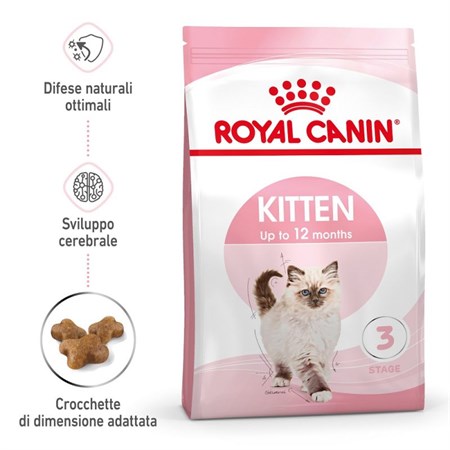 Royal Canin Kitten gatto kg 2 in Gatti