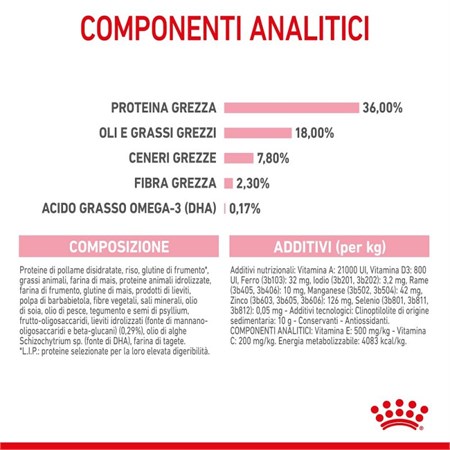 Royal Canin Kitten gatto kg 2 in Gatti