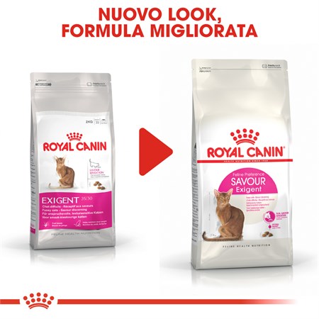 Royal Canin Exigent Savour Sensation 2 kg Gatto in Gatti