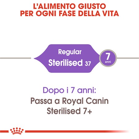 Royal Canin Sterilised gatto kg 2 in Gatti