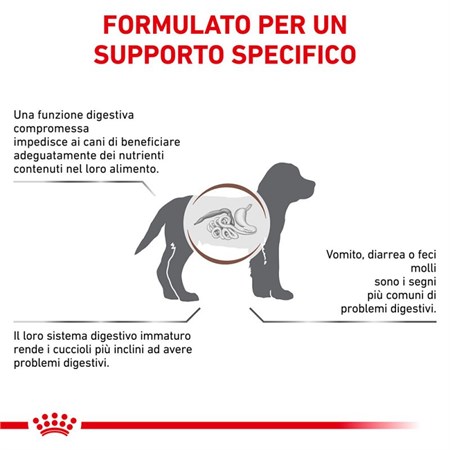 Royal Canin Gastro Intestinal Puppy 2,5 kg Cane in Cani