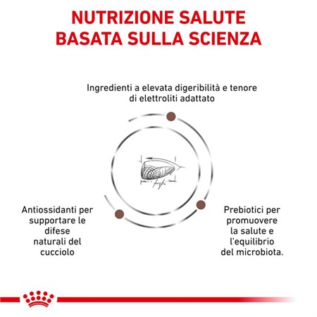 Royal Canin Gastro Intestinal Puppy 2,5 kg Cane in Cani