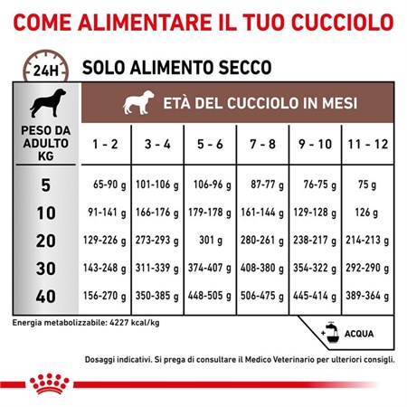 Royal Canin Gastro Intestinal Puppy 2,5 kg Cane in Cani