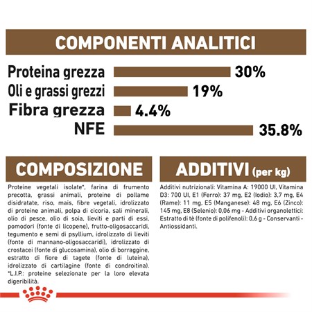 Royal Canin Senior Ageing + 12 Gatto 2 kg in Gatti