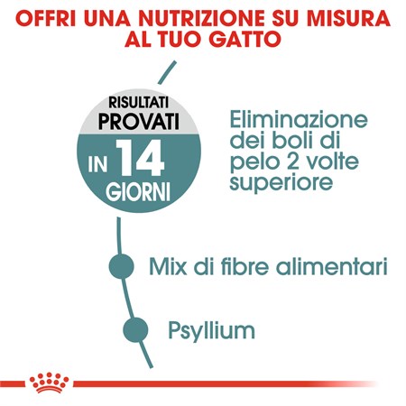 Royal Canin Care Hairball 2 kg Gatto in Gatti
