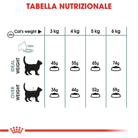 Royal Canin Care Hairball 2 kg Gatto in Gatti