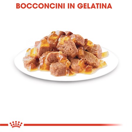 Royal Canin Instinctive Adult Jelly 85 gr In Gelatina Per Gatti in Gatti