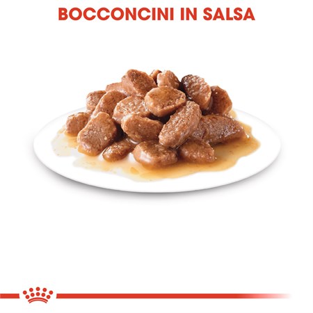 Royal Canin Ageing + 12 Gravy 85 gr In Salsa Per Gatti in Gatti