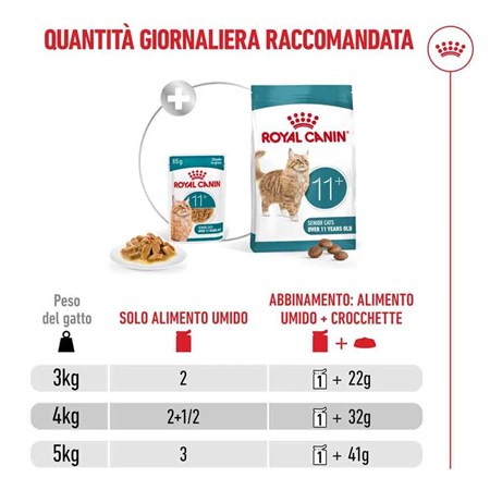 Royal Canin Ageing + 11 Gravy 85 gr In Salsa Per Gatti in Gatti