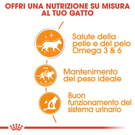 Royal Canin Intense Beauty Gravy 85 gr In Salsa Per Gatti in Gatti