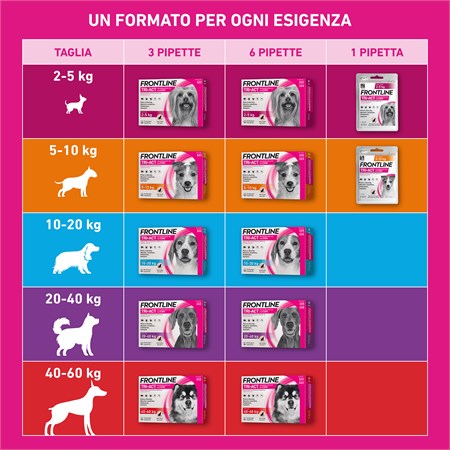 Frontline Tri Act 40 - 60 kg 6 Pipette Antiparassitario Per Cane in Cani