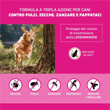 Frontline Tri Act 5 - 10 kg 6 Pipette Antiparassitario Per Cane in Cani