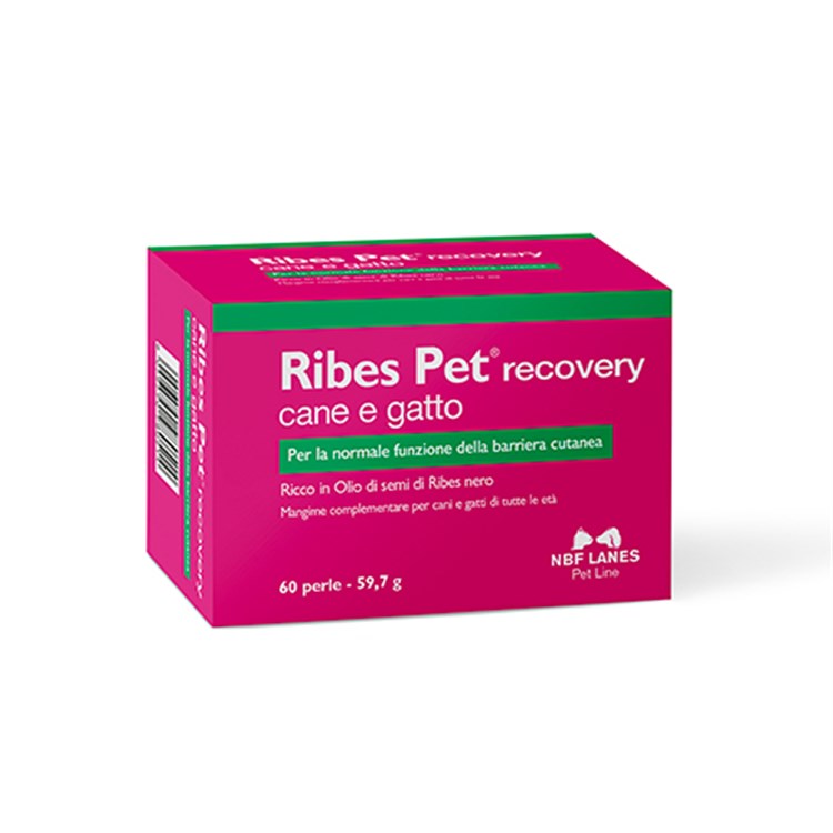 NBF Lanes Ribes Pet Recovery 60 Perle