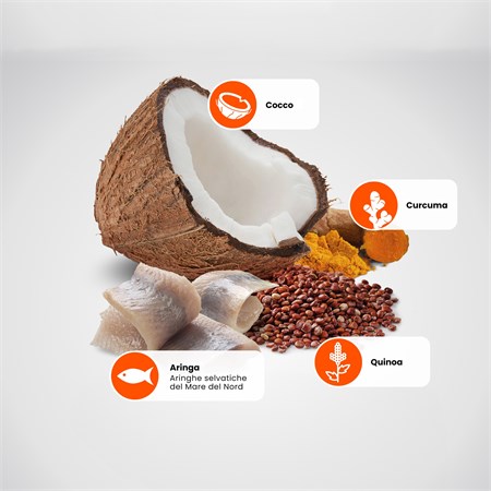 Farmina N/D Quinoa Grain Free Adult Medium Large Skin & Coat Aringa Cocco 2,5 Kg in Cani