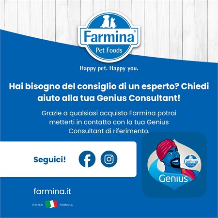 Farmina N/D Quinoa Grain Free Adult Medium Large Skin & Coat Aringa Cocco 2,5 Kg in Cani