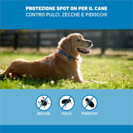 Frontline SPOT ON 2-10 Kg - Antiparassitario per cane cani - 4 pi in Cani