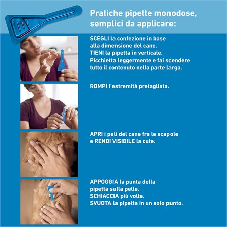 Frontline SPOT ON 2-10 Kg - Antiparassitario per cane cani - 4 pi in Cani