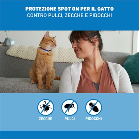 Frontline - SPOT ON Antiparassitario per Gatto 3 Pipette per gatti in Gatti