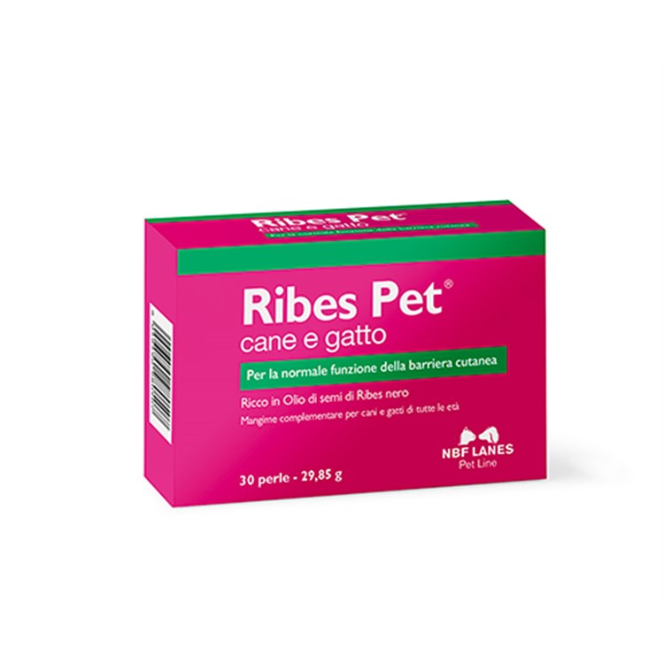 NBF Lanes Ribes Pet 30 Perle