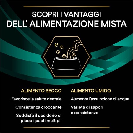 Purina Pro Plan Veterinary Diet En GASTRO INTESTINAL 400 gr Mousse Gastroenteric in Cani