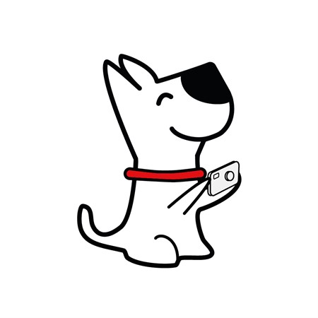 Disugual Dog Medium Adult 12 Kg Gusto Pollo in Cani