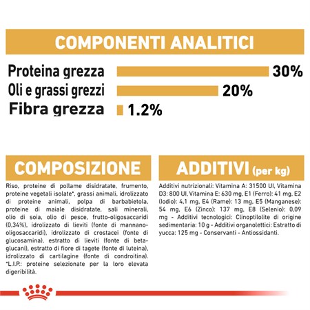 Royal Canin Bulldog Francese Puppy 10 kg in Cani