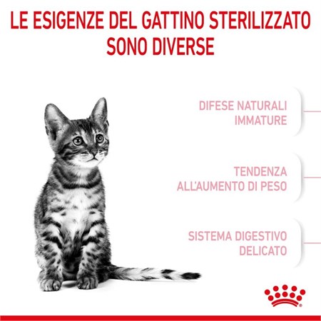 Royal Canin Kitten Sterilised 2 Kg Gatto in Gatti