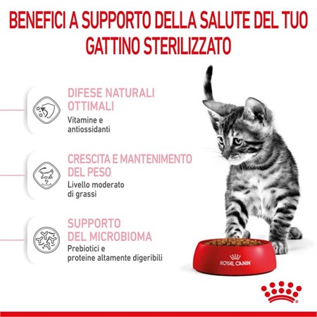 Royal Canin Kitten Sterilised 3,5 Kg Gatto in Gatti