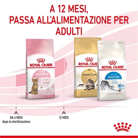 Royal Canin Kitten Sterilised 3,5 Kg Gatto in Gatti