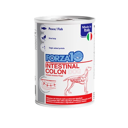Forza 10 Active Intestinal Colon 390 Gr Barattolo Umido Per Cani in Cani
