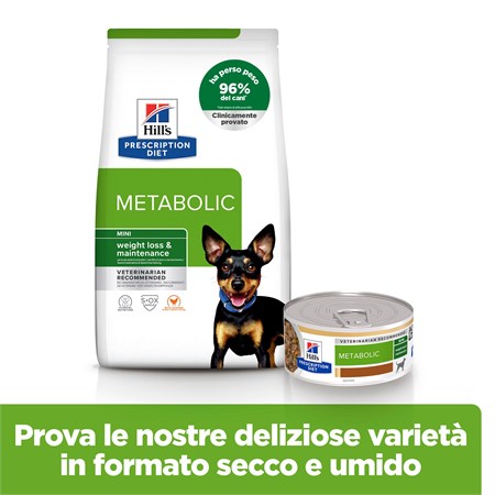 Hill's Prescription Diet Metabolic Mini 1 kg Crocchette Cane in Cani