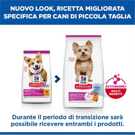 Hill's Science Plan Small & Mini Adult con Pollo 6 kg in Cani