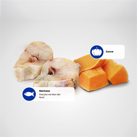 Farmina N/D Umido Ocean Dog Puppy Merluzzo e Zucca 140 Gr in Cani