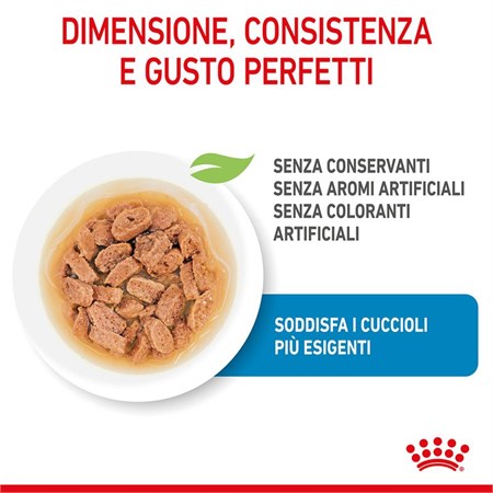 Royal Canin Mini Puppy 85 Gr Busta In Salsa Umido Per Cane in Cani