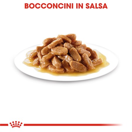 Royal Canin Medium Puppy 140 Gr Busta In Salsa Umido Per Cane in Cani