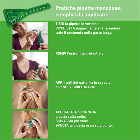 Frontline Combo Gatti 6 Pipette da 0,5 ml in Gatti