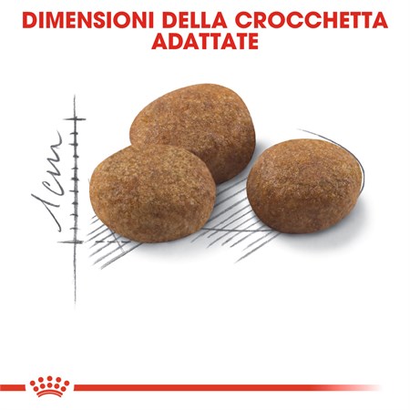 Royal Canin Sterilised 7+ 400 gr Per Gatti in Gatti
