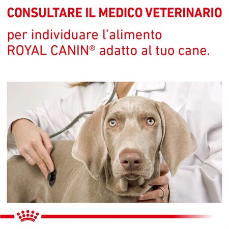 Royal Canin Recovery Veterinary Diet 195 gr Cane e Gatto in Cani