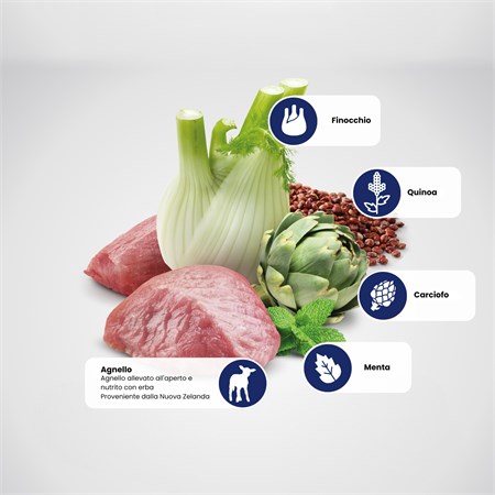Farmina N&D Quinoa 80 gr Digestion Wet Umido Gatto in Gatti