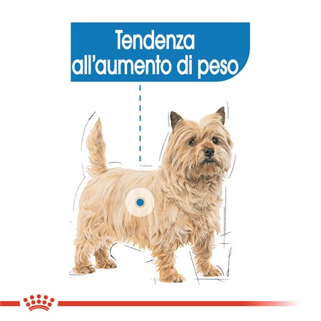 Royal Canin Mini Light Weight Care 3 Kg Per Cani in Cani