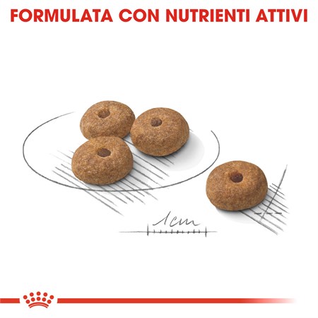 Royal Canin Mini Adult Sterilised 1 kg Per Cani in Cani