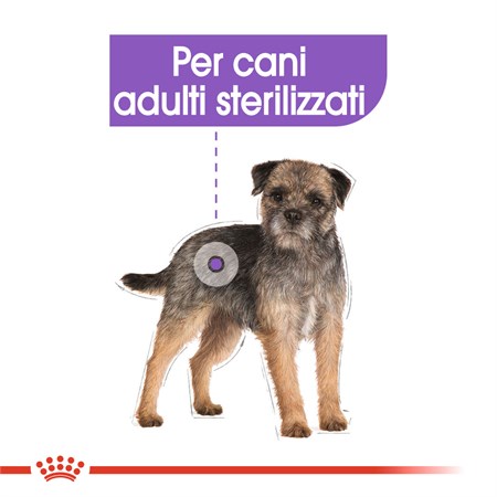 Royal Canin Mini Sterilised 8 kg Per Cani in Cani