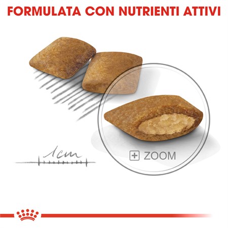 Royal Canin Mini Exigent 1 kg Per Cani in Cani