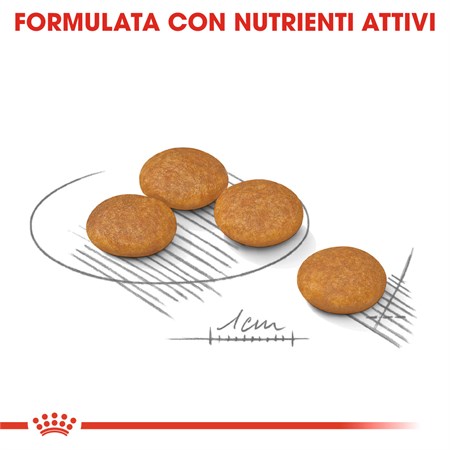 Royal Canin Mini Health Nutrition Dermacomfort 3 Kg Per Cani in Cani