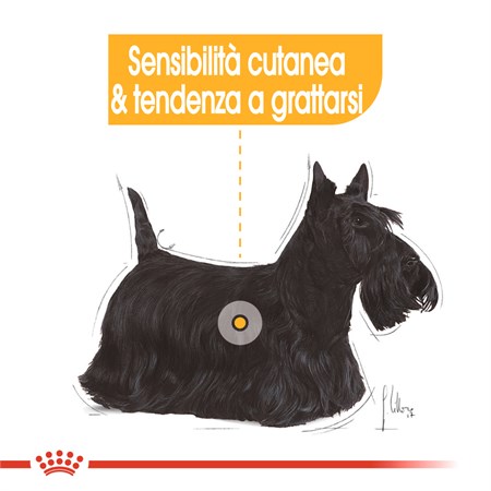 Royal Canin Mini Health Nutrition Dermacomfort 3 Kg Per Cani in Cani