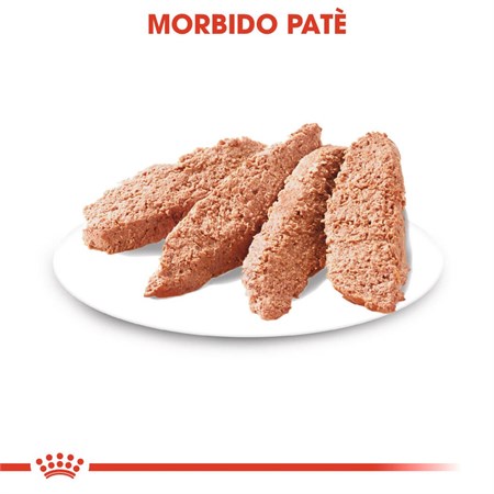 Royal Canin All Sizes Sterilised 85 Gr Busta Pate Loaf Umido Per Cane in Cani