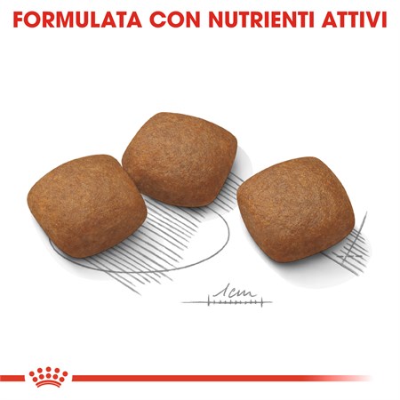 Royal Canin Maxi Joint Care 10 kg Per Cane in Cani