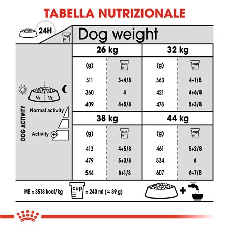 Royal Canin Maxi Joint Care 10 kg Per Cane in Cani